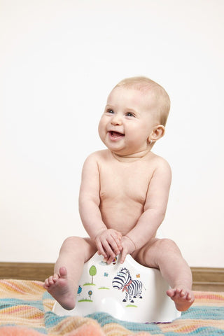 Potty Training Success | Easy Steps to Train Your Boy in No Time!