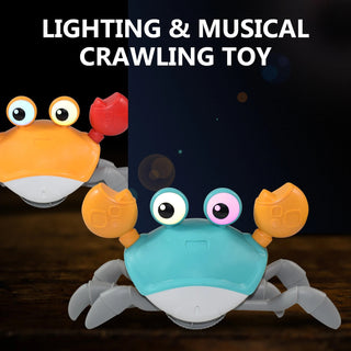 Dancing Crab Toy