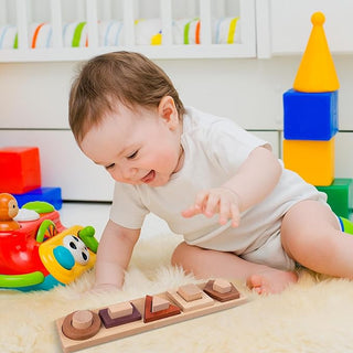 Montessori Wooden Building Blocks